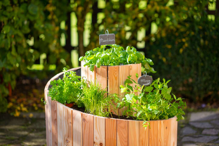 WESTMANN Kräuterspirale Luise